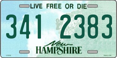 NH license plate 3412383