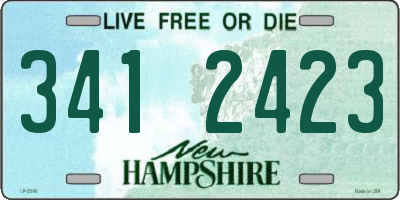 NH license plate 3412423