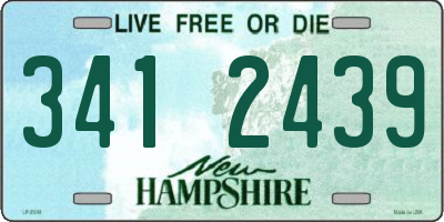 NH license plate 3412439