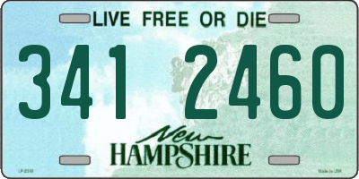 NH license plate 3412460