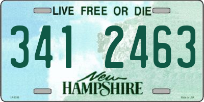 NH license plate 3412463