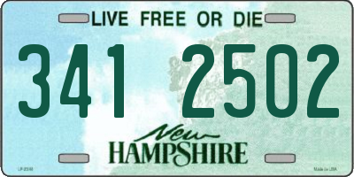 NH license plate 3412502