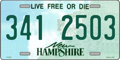 NH license plate 3412503