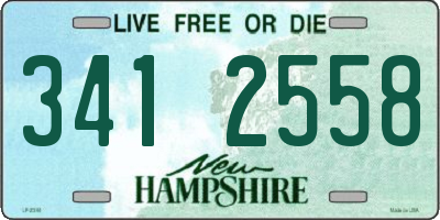 NH license plate 3412558