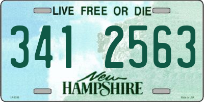 NH license plate 3412563