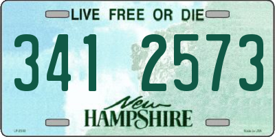 NH license plate 3412573