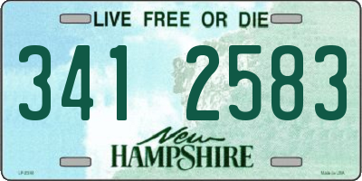 NH license plate 3412583