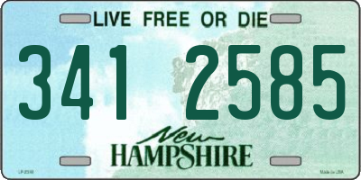 NH license plate 3412585