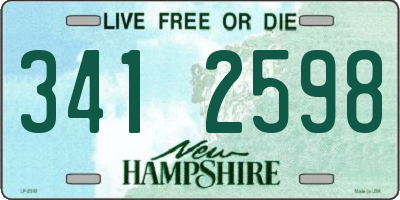 NH license plate 3412598