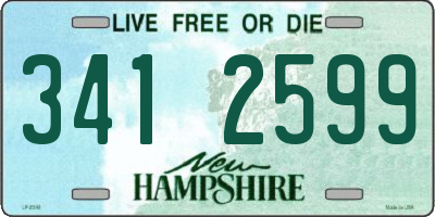 NH license plate 3412599