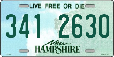 NH license plate 3412630