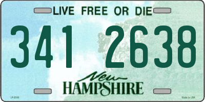 NH license plate 3412638
