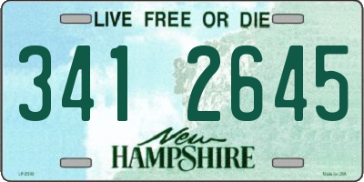 NH license plate 3412645