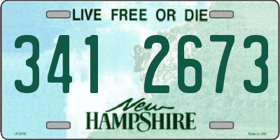 NH license plate 3412673
