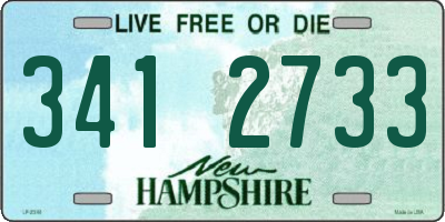 NH license plate 3412733