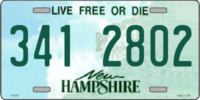 NH license plate 3412802