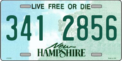 NH license plate 3412856
