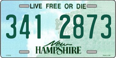 NH license plate 3412873