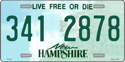 NH license plate 3412878