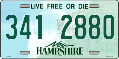 NH license plate 3412880