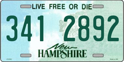 NH license plate 3412892