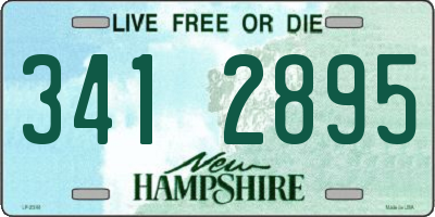 NH license plate 3412895