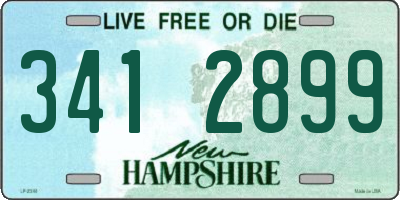 NH license plate 3412899