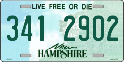 NH license plate 3412902