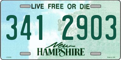 NH license plate 3412903