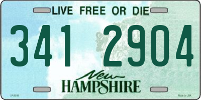 NH license plate 3412904