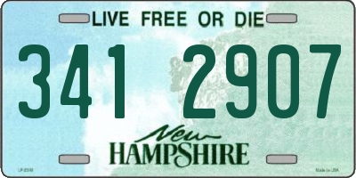 NH license plate 3412907
