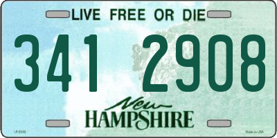 NH license plate 3412908