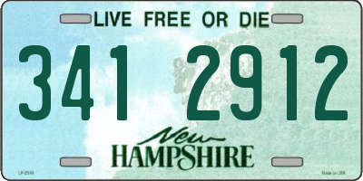 NH license plate 3412912