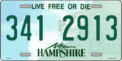 NH license plate 3412913