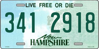 NH license plate 3412918
