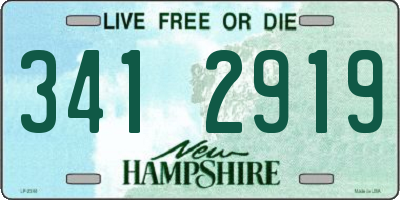 NH license plate 3412919