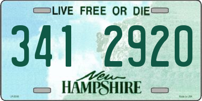 NH license plate 3412920