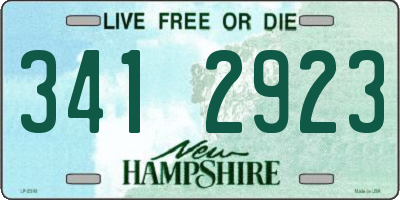 NH license plate 3412923