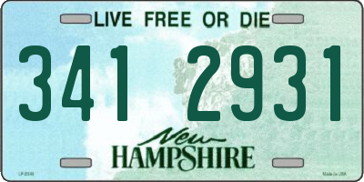 NH license plate 3412931