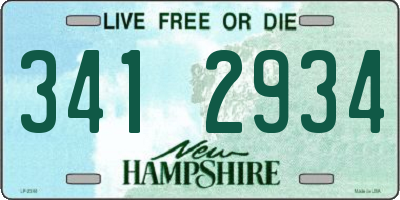 NH license plate 3412934