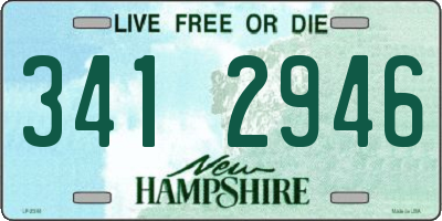 NH license plate 3412946