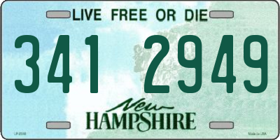 NH license plate 3412949