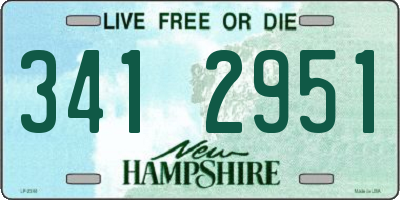 NH license plate 3412951
