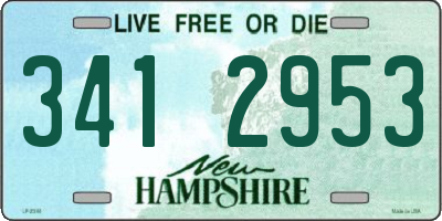 NH license plate 3412953
