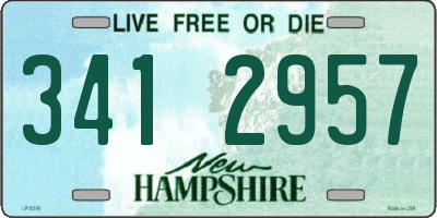 NH license plate 3412957