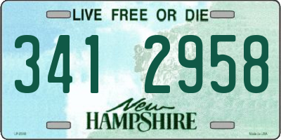 NH license plate 3412958