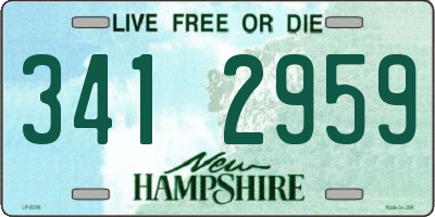 NH license plate 3412959