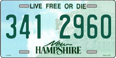 NH license plate 3412960
