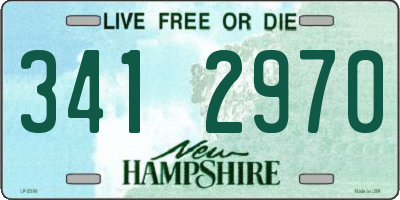 NH license plate 3412970