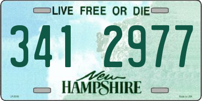 NH license plate 3412977